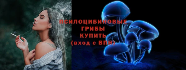дурь Алексеевка
