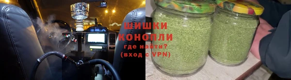 бошки Алексин