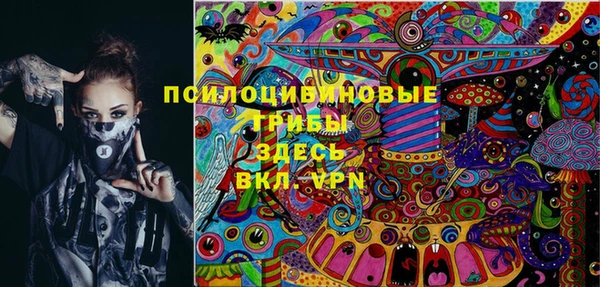 бошки Алексин