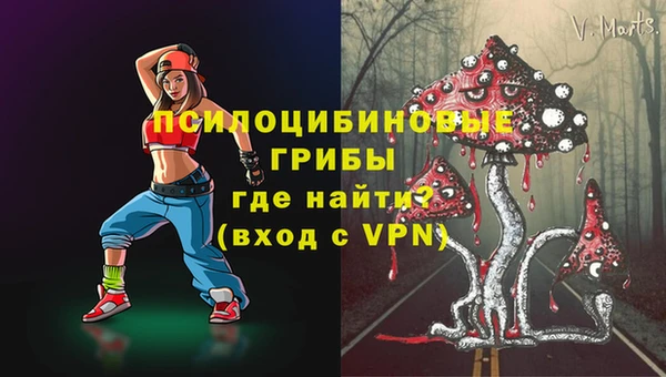 mix Абаза