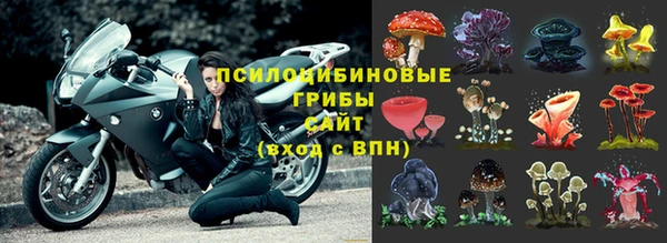 дурь Алексеевка