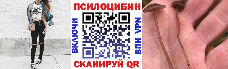 Галлюциногенные грибы MAGIC MUSHROOMS  Черемхово 